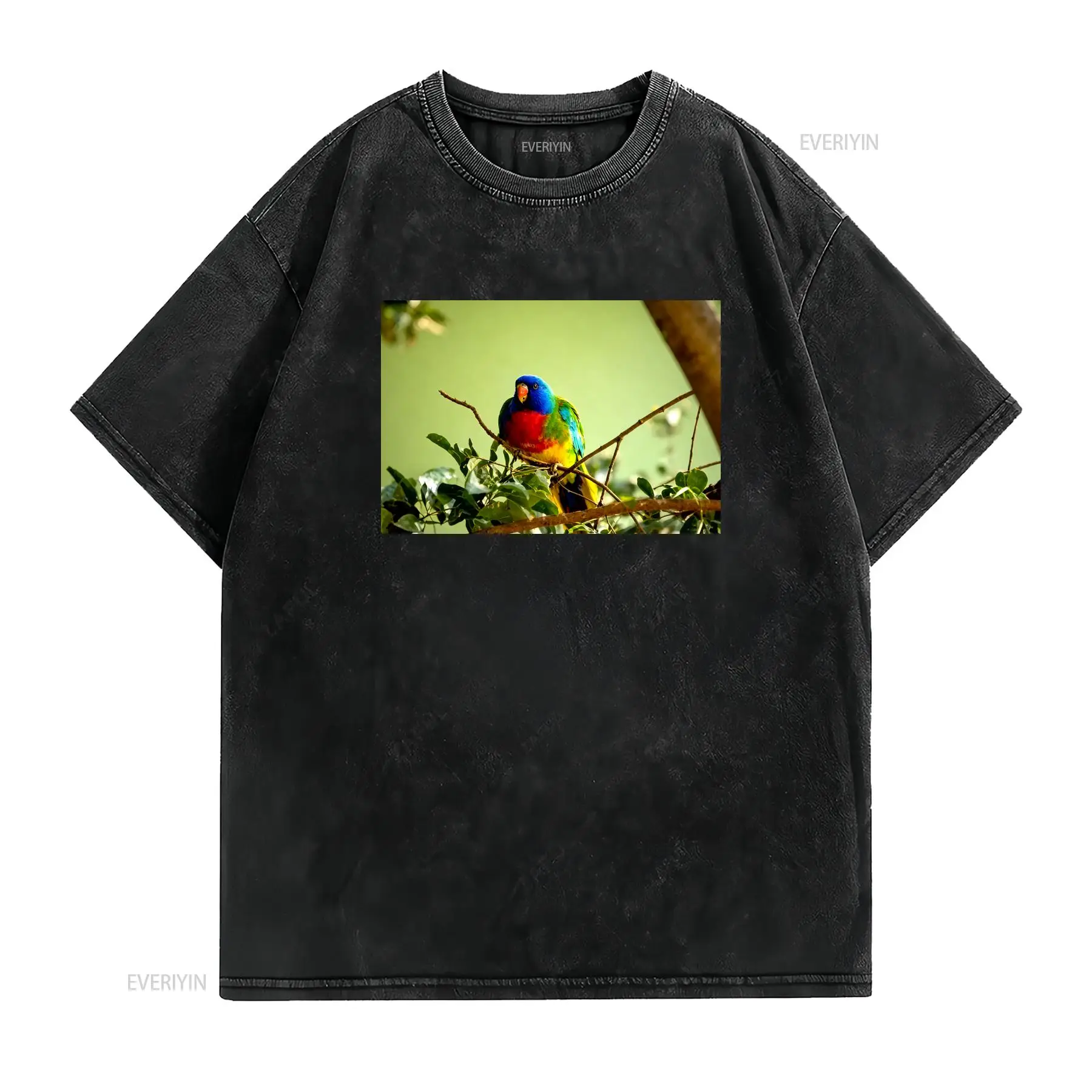 스칼렛 체스티드 파로트 메이드 인 오스트레일리아 티셔츠 - Vintage Fashion Australia 리뷰 및 가격