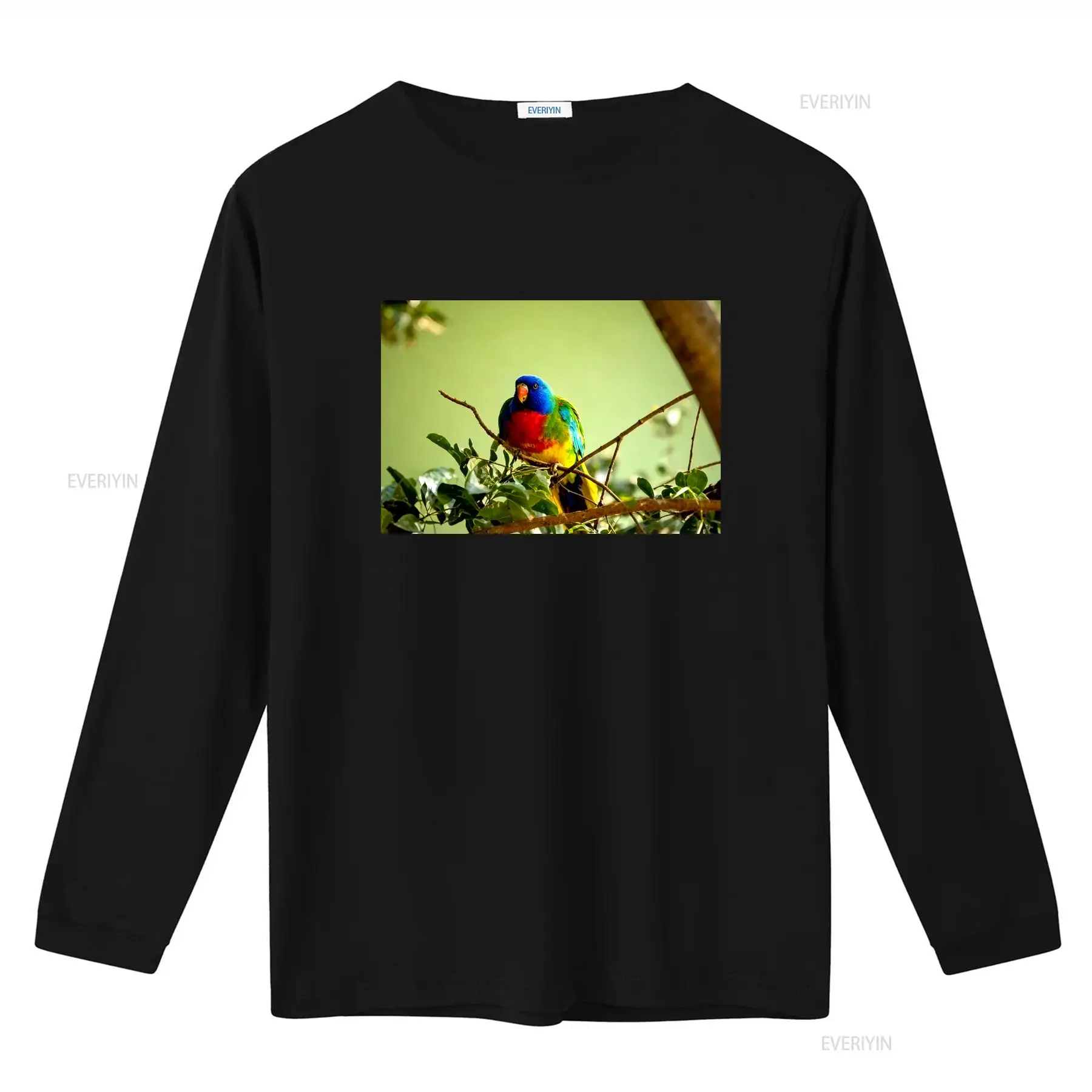 스칼렛 체스티드 파로트 메이드 인 오스트레일리아 티셔츠 - Vintage Fashion Australia 리뷰 및 가격