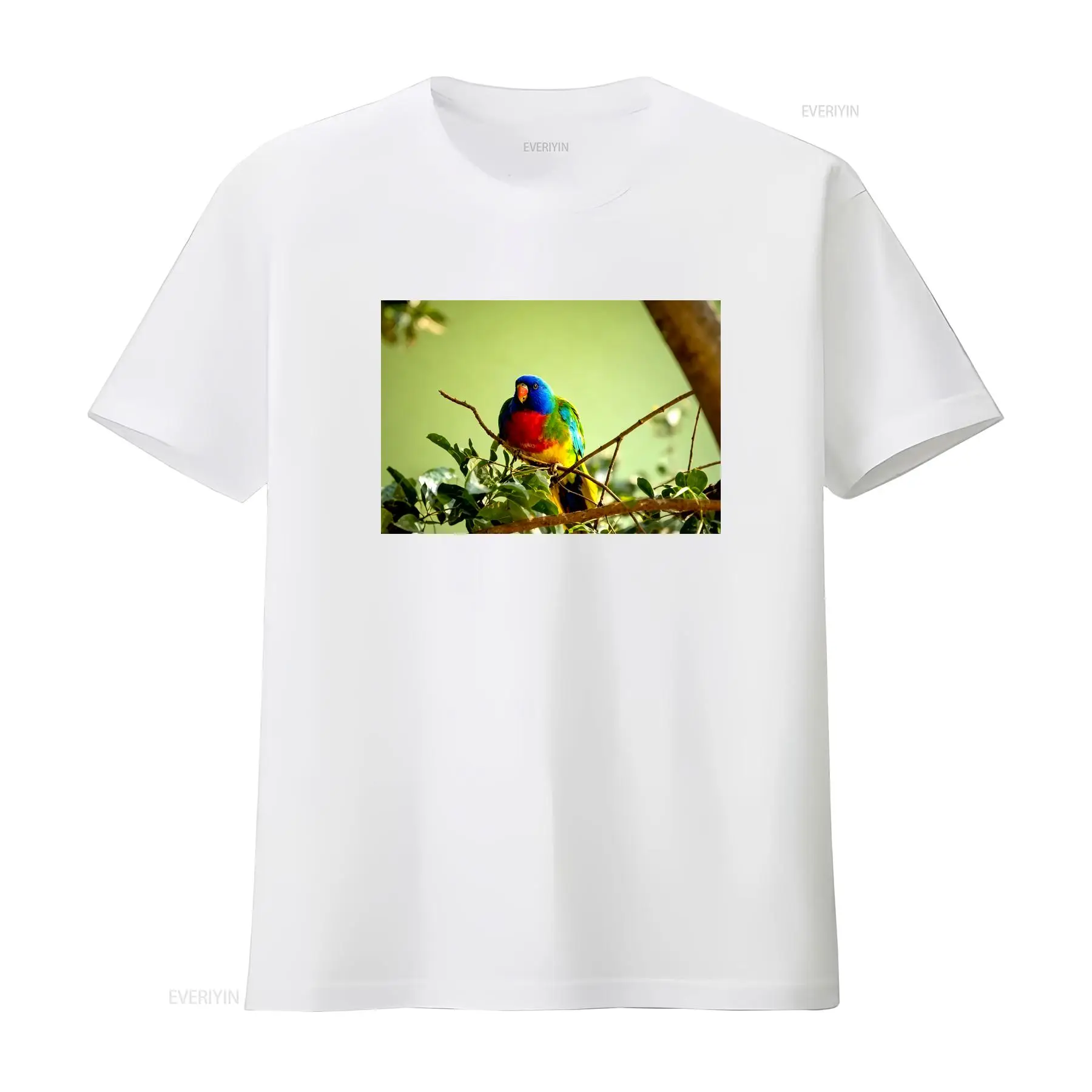 스칼렛 체스티드 파로트 메이드 인 오스트레일리아 티셔츠 - Vintage Fashion Australia 리뷰 및 가격